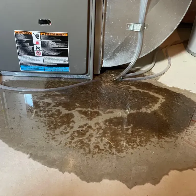 Appliance Leak Cleanup in Vega, TX